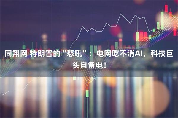 同翔网 特朗普的“怒吼”：电网吃不消AI，科技巨头自备电！