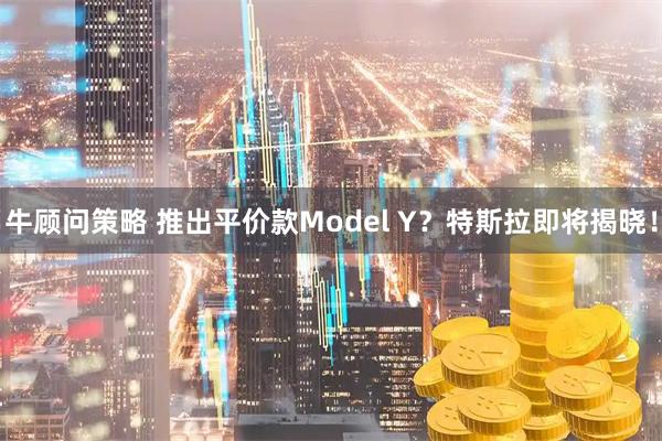 牛顾问策略 推出平价款Model Y？特斯拉即将揭晓！