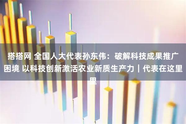 搭搭网 全国人大代表孙东伟：破解科技成果推广困境 以科技创新激活农业新质生产力｜代表在这里