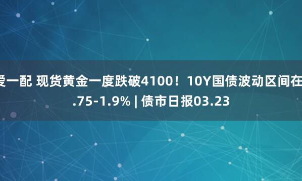 爱一配 现货黄金一度跌破4100！10Y国债波动区间在1.75-1.9% | 债市日报03.23