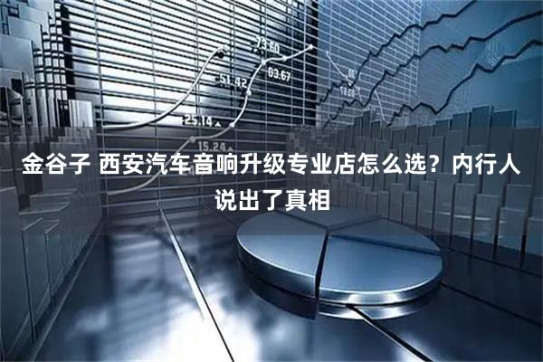 金谷子 西安汽车音响升级专业店怎么选？内行人说出了真相