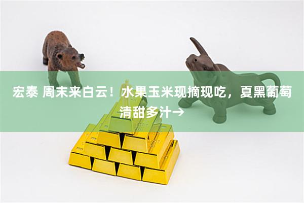 宏泰 周末来白云！水果玉米现摘现吃，夏黑葡萄清甜多汁→