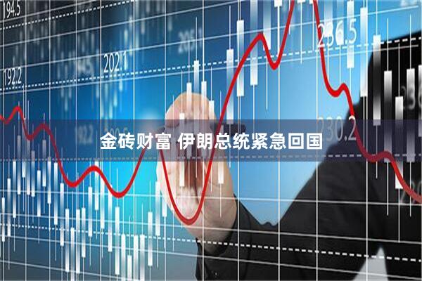 金砖财富 伊朗总统紧急回国